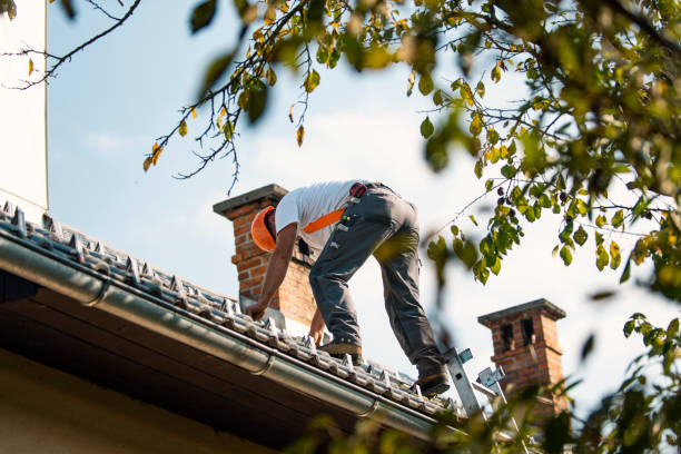 Best Metal Roofing Contractor  in La Presa, CA
