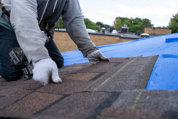 Best Emergency Roof Repair  in La Presa, CA