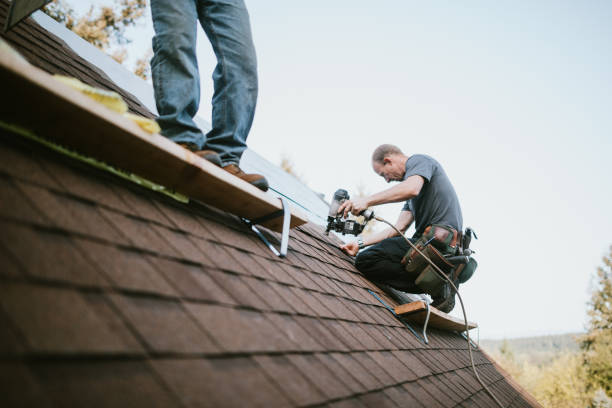 Quick and Trustworthy Emergency Roof Repair Services in La Presa, CA